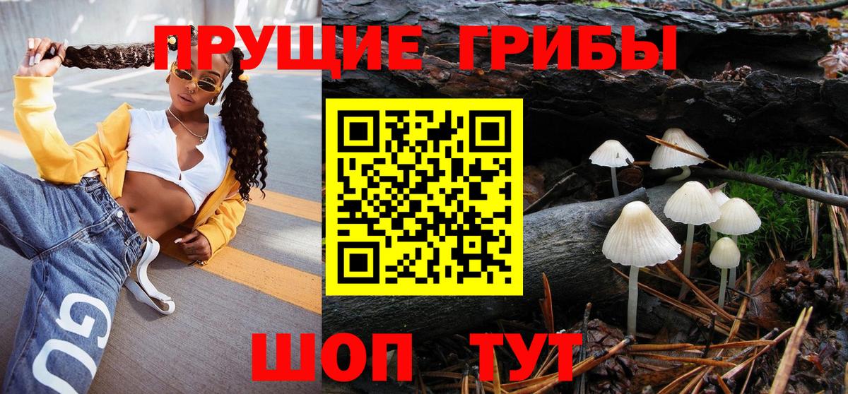 Псилоцибиновые грибы GOLDEN TEACHER Углич