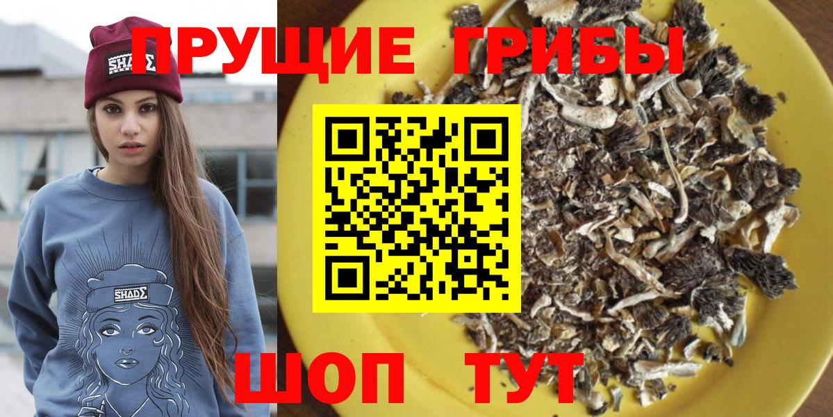 Псилоцибиновые грибы Psilocybine cubensis  Вход с VPN  Галлюциногенные грибы Psilocybine cubensis  Углич 